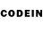 COCAIN Боливия Irina Alavi