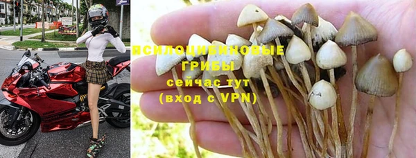 шишки Нефтекумск