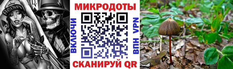 Галлюциногенные грибы ЛСД Суоярви